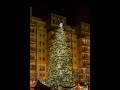 Most-Rozsvícení vánočního stromu 2017