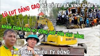 Lũ Lụt Dâng Cao Bể Đê Nhấn Chìm Hơn40 Công Mítchú Hồngthiệt Hại Nhiều Tỷ Đồng Tại Xãvĩnh Châu A
