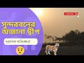 Sundarban tour  sundarban tour package  sundarban forest      part  2 