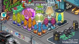 Wiz Khalifa's Weed farm. Unlocking every fire breed. Fire breeds!!! Spending 1 million gems. screenshot 1