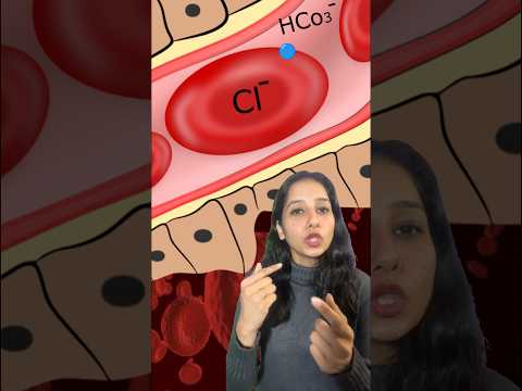 Chloride Shift ||