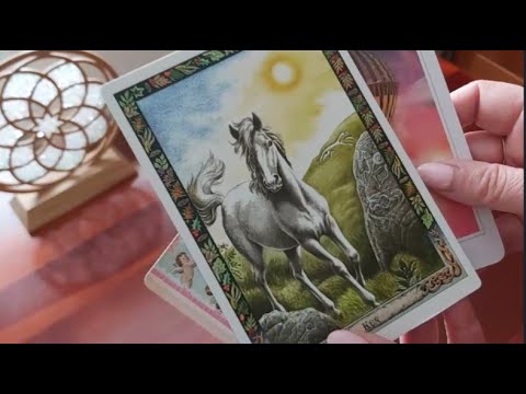 Video: Král mečů v tarotu a význam karty