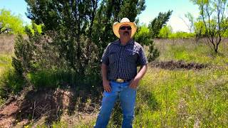Distance Learning Series: The Damage of the Big, Bad Cedar Tree