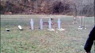 SMGC three gun Wealth