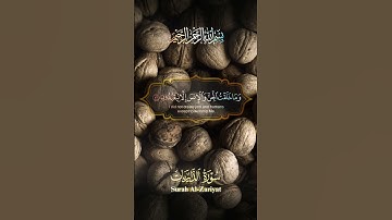 {وَذَكِّرْ فَإِنَّ الذِّكْرَىٰ تَنفَعُ الْمُؤْمِنُونَ} |سورة الذاريات #القرآن_الكريم #اكسبلور #لايك