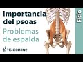 Qué es el psoas y cuál es su importancia en los problemas de espalda