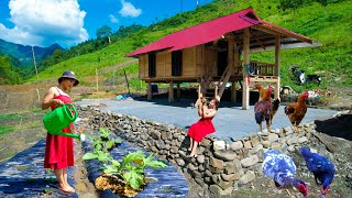 Full video 3 years of building a life | Build a big farm, raise livestock and grow crops