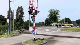 Open crossing in Zufikon, Aargau (Switzerland)