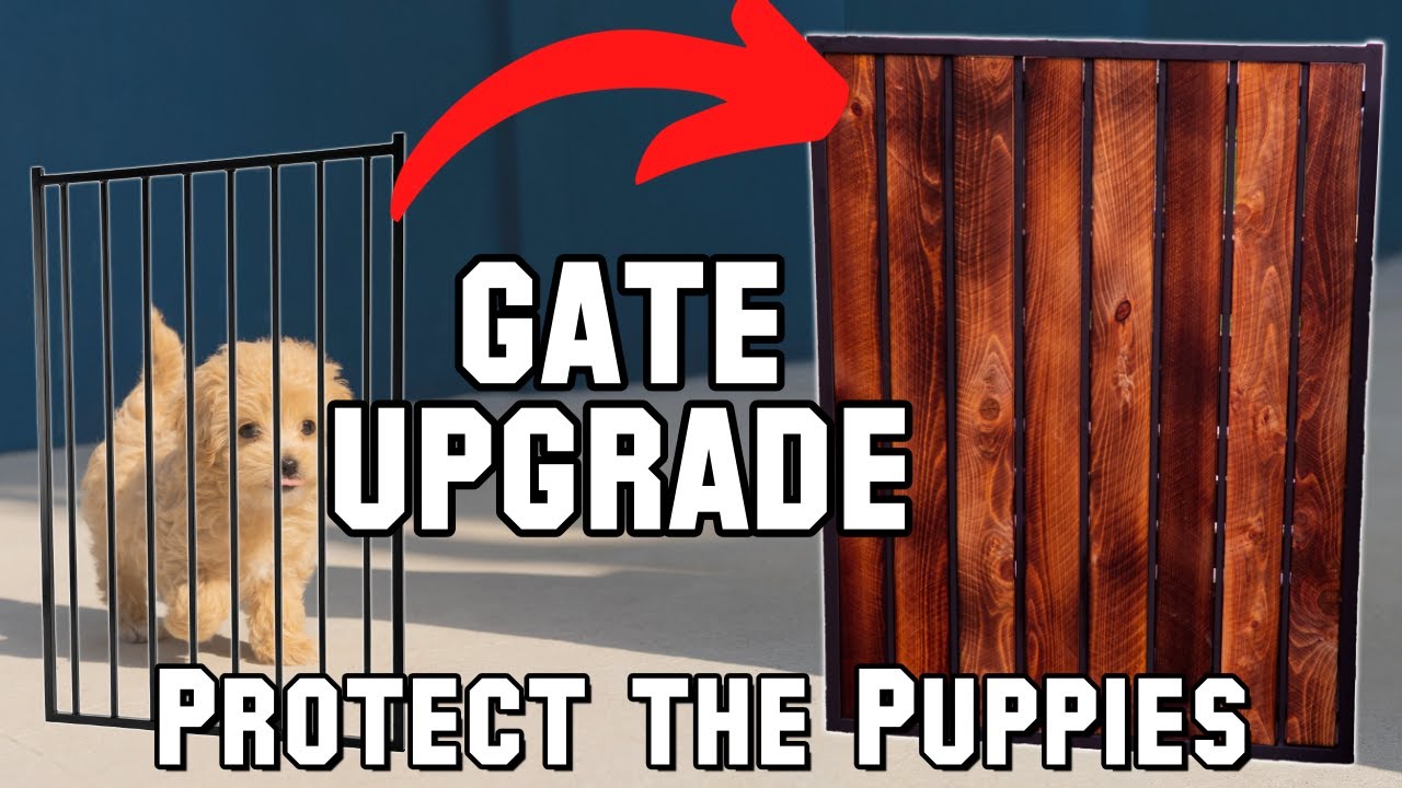 Easy DIY Gate Upgrade Build It Make It YouTube