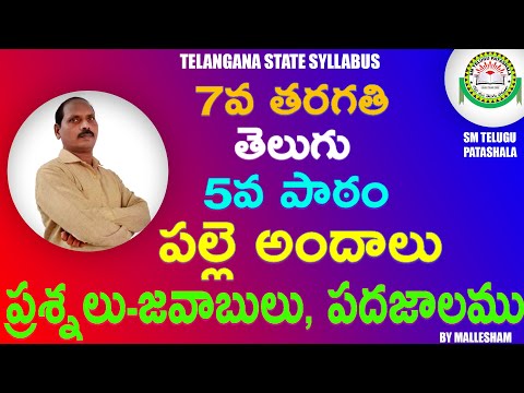 7th class Telugu 5th lesson పల్లె అందాలు (Palle Andalu) II Question and answers II By Mallesham