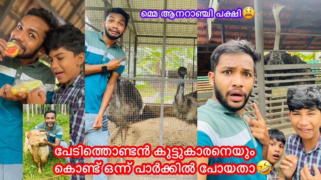 പേടിത്തൊണ്ടന്‍ കൂട്ടുകാരനെയും കൊണ്ട് ഒന്ന് പാര്‍ക്കില്‍ പോയതാ🤣 #anshisvlogs #comedy