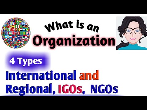 वीडियो: IGO और NGO में क्या अंतर है?