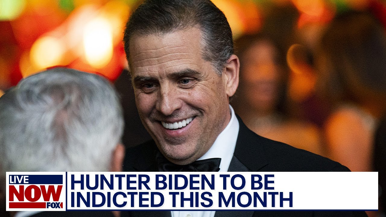 A special counsel will indict Hunter Biden in gun case this month ...