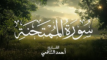سورة الممتحنة القارئ أحمد الشافعي | Surah Al-Mumtahanah - Ahmed Alshafey
