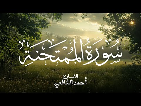 سورة الممتحنة القارئ أحمد الشافعي Surah Al Mumtahanah Ahmed Alshafey