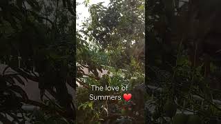 #summer #summervibes #mangoes #kachaaam #mango #rawmangoes #summerfun #reelsindia #nature #foodshort
