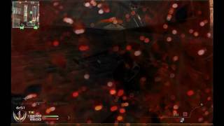 Sick Collateral MW2