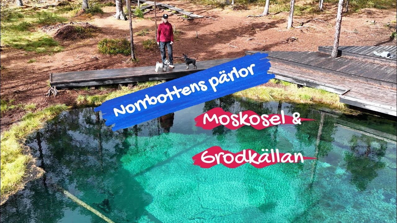 Vi besöker Moskosel o den omtalade Grodkällan