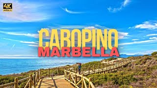 Best Beach in Marbella, Cabopino, Costa del Sol Seaside 2024