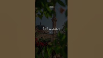 {إِنَّ رَبَّكَ وَ ٰ⁠سِعُ ٱلۡمَغۡفِرَةِۚ هُوَ أَعۡلَمُ بِكُمۡ} | محمد صديق المنشاوي | سورة النجم.