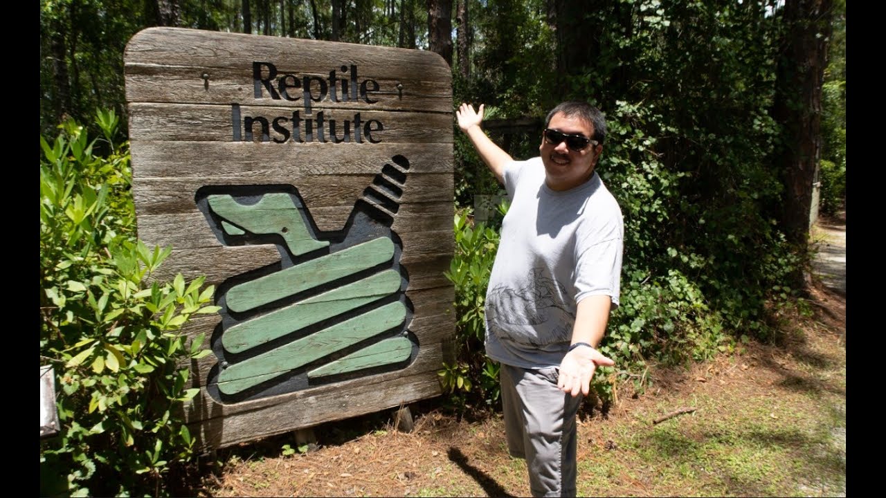 Venomous Snakes: Is This The Most Dangerous Job? | A Day at the Reptile Discovery Center