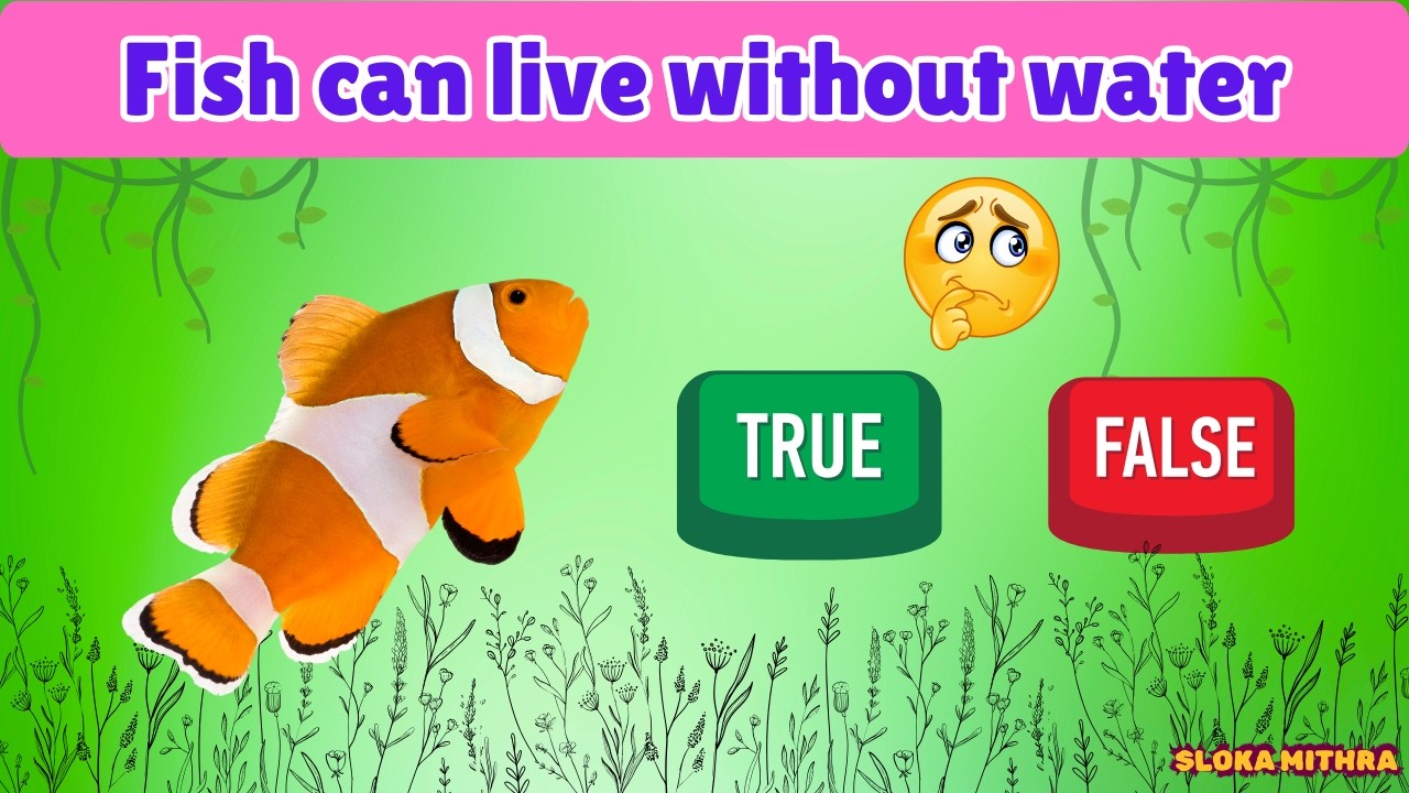 True or False Challenge for Kids 🧠 | Fun Quiz Game #kidslearning # ...