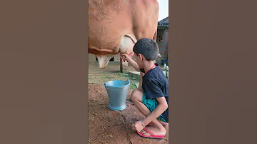 Small Girl Ttruyg Vh Love Song Funny Fgg 
