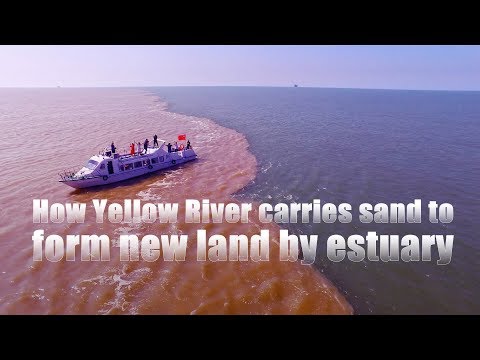 Live: How Yellow River carries sand to form new land by estuary感受黄河入海口的别样魅力