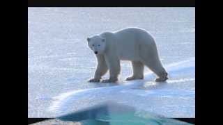 GEORGES CHELON REQUIEM POUR LES ANIMAUX chords