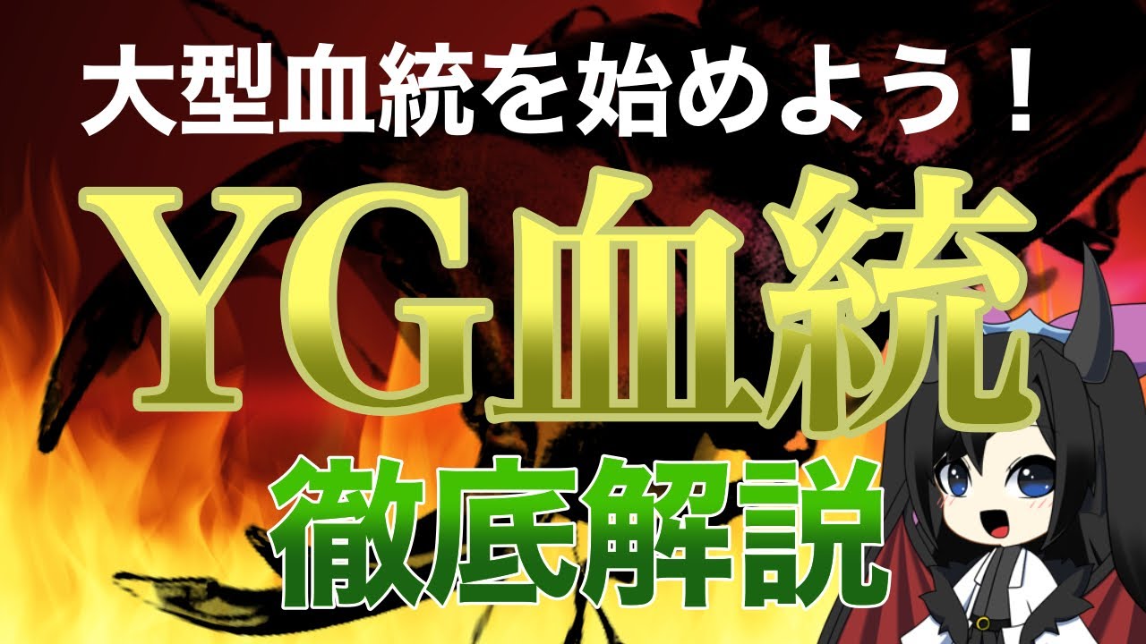 能勢YG血統を徹底解説！血統誕生エピソードから血統の強みまで話して