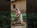 Miniature doll cooking Bengan Masala#miniaturecooking #cooking #tinycooking #miniature #shorts #mini