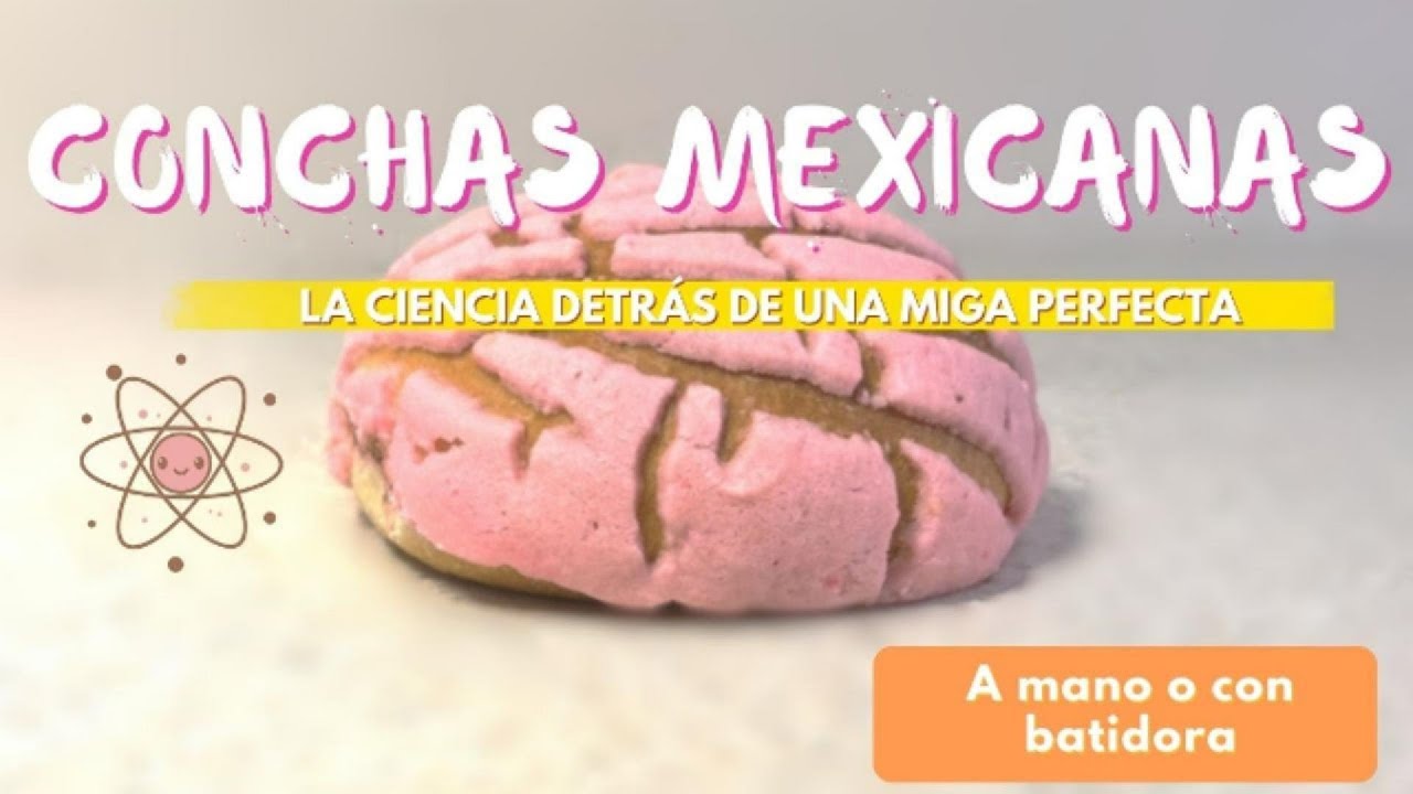 Conchas Mexicanas: La ciencia que hay detrás de una miga suave y esponjosa ✨