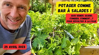 Comment récolter de la salade à volonté au potager ► Les mescluns