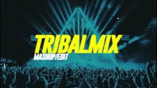 EDM เปิดในผับ 2025 - TRIBAL HOUSE / EDM MIX #96