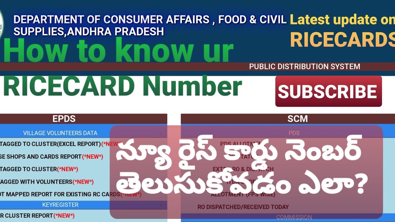 Ap Rice Card Serial Number న్యూ రైస్ కార్డు నెంబరు తెలుసుకోవడం ఎలా? || how to know rice card ...