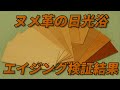 【ヌメ革エイジング】検証結果　日光浴の検証動画