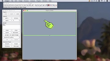 How to create and adjust a figure with FigureJ