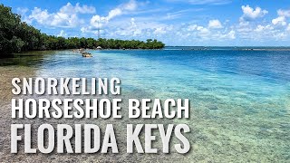 Snorkeling FLORIDA KEYS Horseshoe Beach in Big Pine Key [4K]