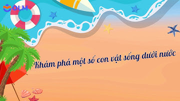 Khám phá một số con vật sống dưới nước - OLM Mầm non [OLM.VN]
