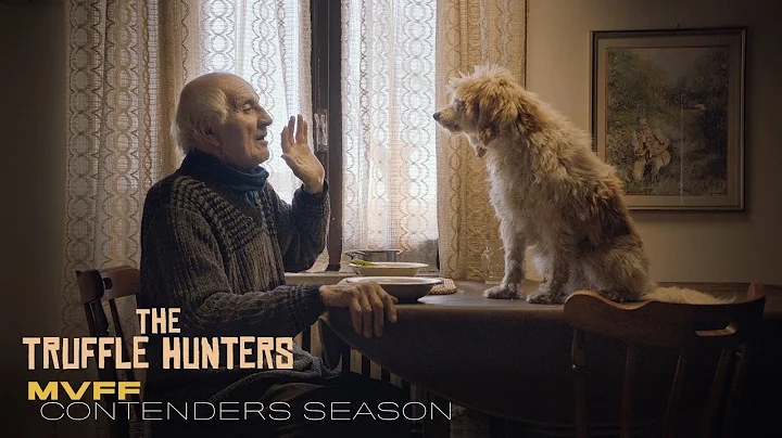 MVFF Contenders Season - 'Truffle Hunters' - Micha...