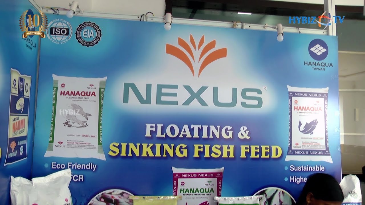 Nexus Feeds Limited Aqua Feed Supplier Aqua Expo 2020 YouTube