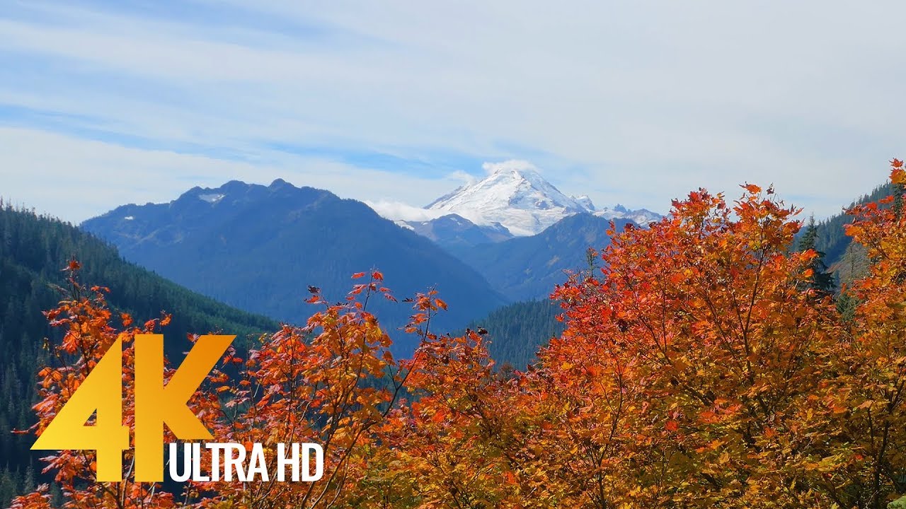 Image result for Autumn in Washington State