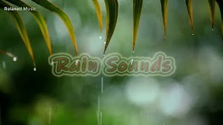 10 Hours of Relaxing Music - Sleep Music with Rain Sound, Piano Music for Stress Relief #rain sounds