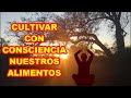 CULTIVAR CON CONSCIENCIA NUESTRA COMIDA ALIMENTA EL CUERPO Y EL ALMA.  NUEVO SORTEO