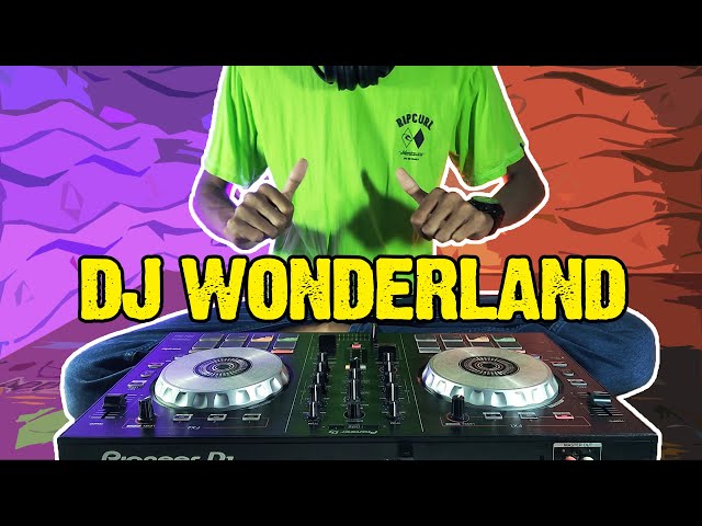 DJ WONDERLAND REMIX SLOW SANTUY FULL BASS class=