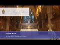 5:30pm Mass at St Mary's Cathedral Sydney Monday of the Memorial of St John I 18 May
