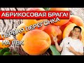 АБРИКОСОВАЯ БРАГА! ПЕРВАЯ ПЕРЕГОНКА С ПОМОЩЬЮ ПВК