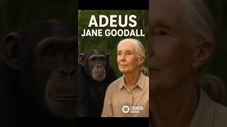 Adeus a Jane Goodall: A Cientista que Revelou a Alma dos Chimpanzés