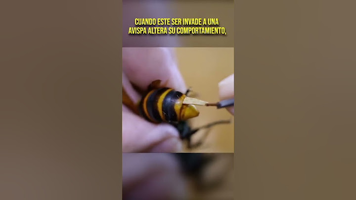 SACAN este PARASITO de una AVISPA! 😱 #shorts