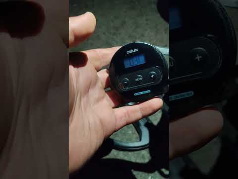 Уши WS4 XP